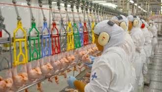 Ar�bia Saudita atende pleito do Mapa e estende at� maio importa��o de aves