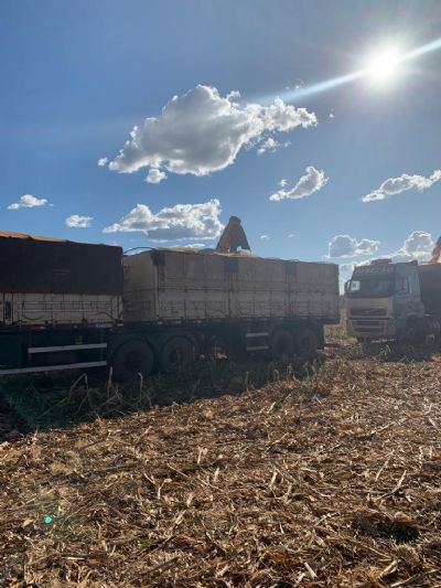 Mato Grosso enfrenta alta no frete