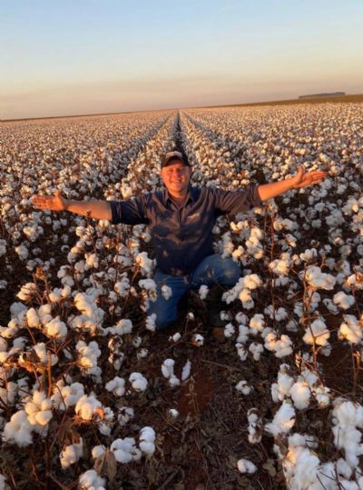 Algod�o: Tecnologia para uma cultura de ponta