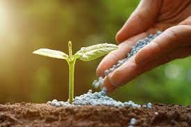 Bolsonaro diz que pode faltar fertilizante