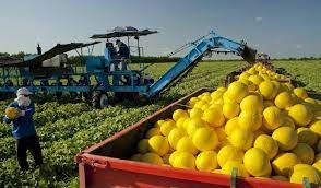 Mel�o: Exporta��es t�m significativa alta mensal