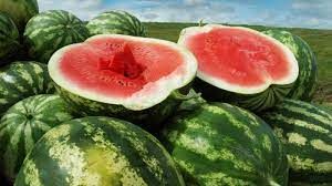 MELANCIA/CEPEA: Intensifica��o da colheita impede alta nos pre�os