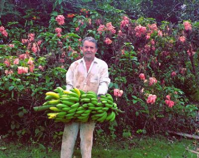 BANANA COM SUSTENTABILIDADE: Programa REM MT transforma a vida de pequenos agricultores no interior do Estado