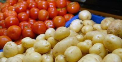 Estudo da Conab aponta pre�os mais baixos para batata e tomate