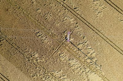 Famato alerta sobre impacto do Prodes no acesso ao cr�dito rural