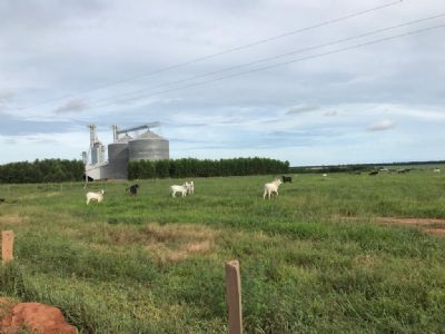 Declara��o de Imposto sobre propriedade rural come�ou