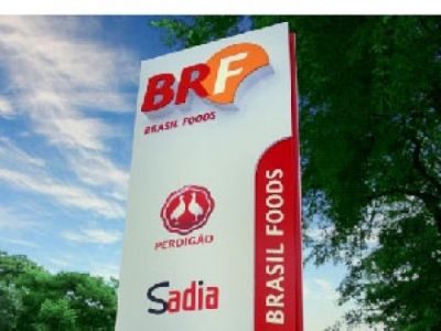 Embargo � carne de frango paralisa unidades da BRF