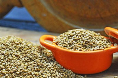 Embrapa desenvolve nova cultivar de gergelim para mercado gourmet