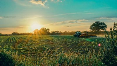 Cr�dito rural em alta impulsiona busca por alternativas no agro