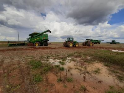 Chuva vai interromper a colheita da soja em Mato Grosso e Goi�s