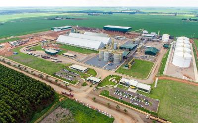 FS Agr�cola inicia constru��o de armaz�m em Quer�ncia e projeta usina de etanol de milho