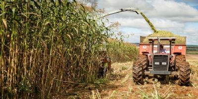 9� Encontro Sucroenerg�tico de Mato Grosso ser� realizado em Cuiab�