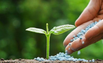 Fertilizantes: analista recomenda comprar pot�ssio e segurar fosfatados