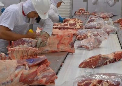 Carne bovina: exporta��es aquecidas