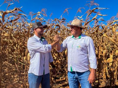 Um legado que teve in�cio em Santa Catarina continua crescendo em meio �s lavouras de Mato Grosso