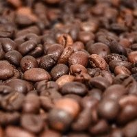 Webinar sobre controle biol�gico na cafeicultura aborda certifica��es e manejo integrado de pragas e doen�as