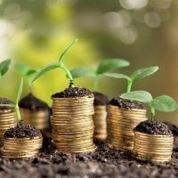 Fundo argentino investe no agroneg�cio brasileiro