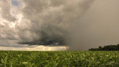 Final de semana pode ser de chuvas em �reas do Norte do Brasil