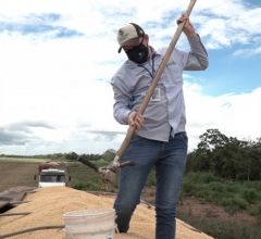 Aprosoja faz mudan�a na forma de acionar o Classificador Legal