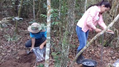 Pesquisa em MT descobre utiliza��o mais eficiente do calc�rio para corrigir acidez do solo em todo o estado