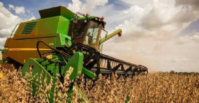 Colheita de soja da safra 19/20 em MT come�a com leve atraso