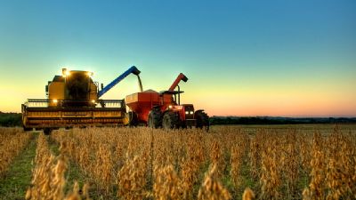 Colheita inicia e Brasil deve obter safra recorde de 124,5 mi/t de soja, projeta consultoria