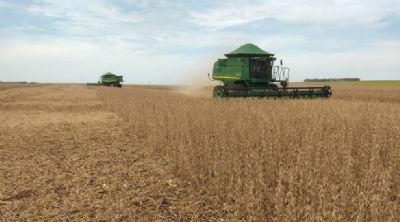 Produtores de Mato Grosso come�am a colheita da soja