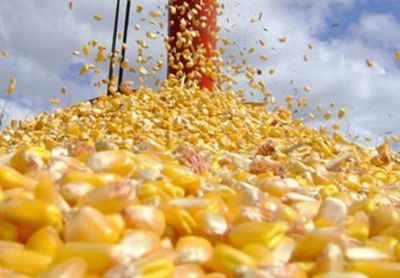 Milho fecha semana negativa