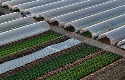 Bioinsumos avan�am e ganham protagonismo no agro brasileiro