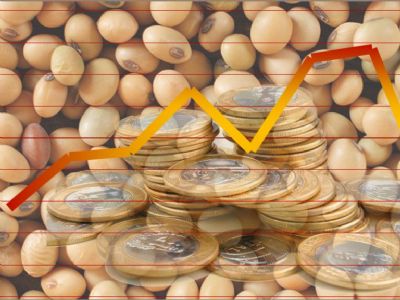 O que esperar do mercado de soja nesta semana?