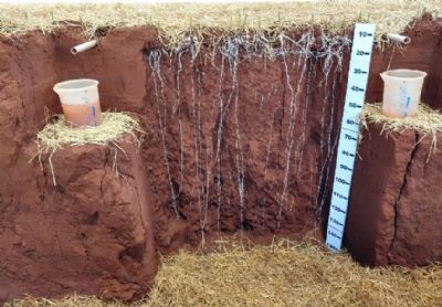 N�veis de manejo do solo para avalia��o de riscos clim�ticos na soja