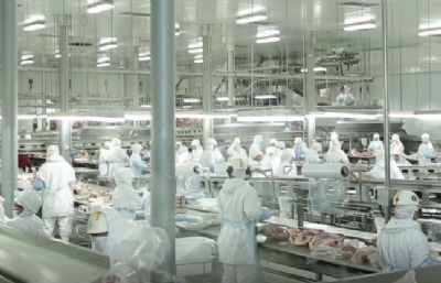 Ind�stria da carne em MT atinge momento cr�tico