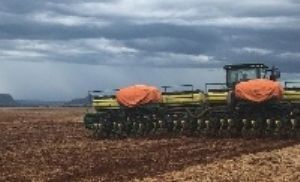 Segredo das altas produtividades est� na semeadura