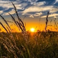 Prazo para entrega da DITR 2020 inicia na pr�xima semana, alerta FAESC