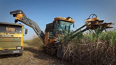 Colhedora de mudas da cana-de-a��car � uma alternativa menos agressiva