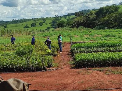 Aprosoja-MT realiza em abril Semin�rio Carbono na Agricultura
