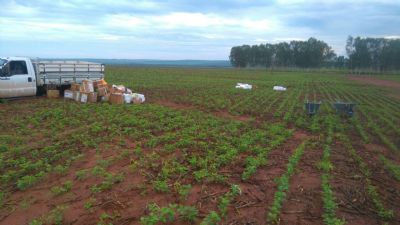 Ladr�es levam mais de 600 mil reais em defensivos agr�colas de fazenda em Canarana