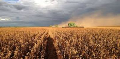 A revolu��o da 3� safra: como a agricultura brasileira atingiu n�veis recordes de produ��o