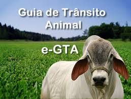 Chega em Mato Grosso a GTA Eletr�nica.