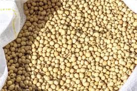 Soja: Mercado sobe nesta sexta-feira 13, ap�s consecutivas e intensas baixas em Chicago