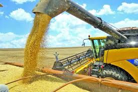 Safra de gr�os supera pandemia e mant�m alta produ��o com 251,8 milh�es de toneladas