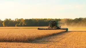 Colheita de soja avan�a 3% e atinge 92% da �rea da safra 2019/20