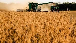 Mais de 10% da safra de soja de 2022 j� foi negociada em Mato Grosso