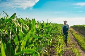 Plano Safra ter� ganho para quem produz alimentos em vez de commodities, diz ministro Teixeira