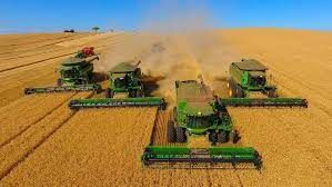 Paran� eleva previs�o de safra de soja a recorde, reduz a de milho e v� m�xima no trigo