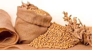 Embarque de soja do Brasil soma 947 mil t/dia