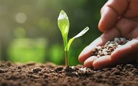 Fertilizantes/EUA: lucro da CF Industries aumenta 12,2% no 4� trimestre