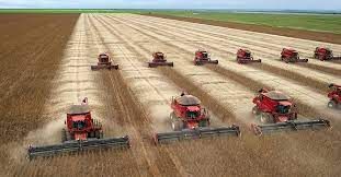 Mato Grosso desbanca Argentina e se torna 3� maior produtor global de soja