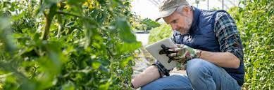 Agroneg�cio sofre escassez de m�o de obra qualificada