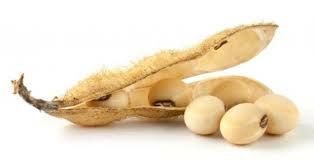 Soja cai pela 7� sess�o seguida na CBOT